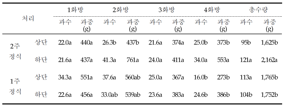 딸기 2단 베드 후작 방울토마토 유인 방법에 화방별 수확량