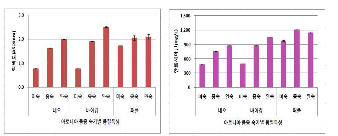 아로니아 품종 숙기별 적색도 및 안토시아닌 함량