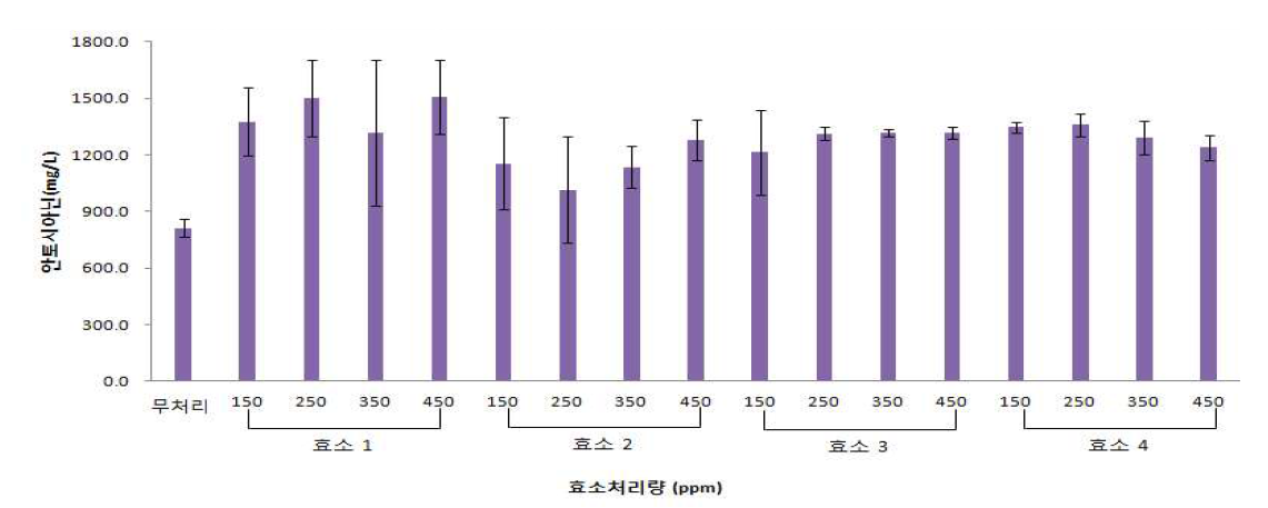 효소 처리에 따른 아로니아 와인의 안토시아닌 함량