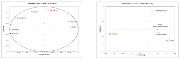 Principal component analysis of organic acid and MLF in Gaeryangmerou wine