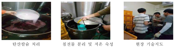 개량머루주 현장적용 연구 사진