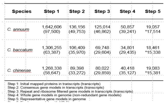 고추 속 식물 전사체 내의 유전자 annotation 통계