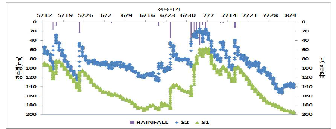 찰옥수수 생육기 시험포장 (S1과S2)의 평균지하수위 분포