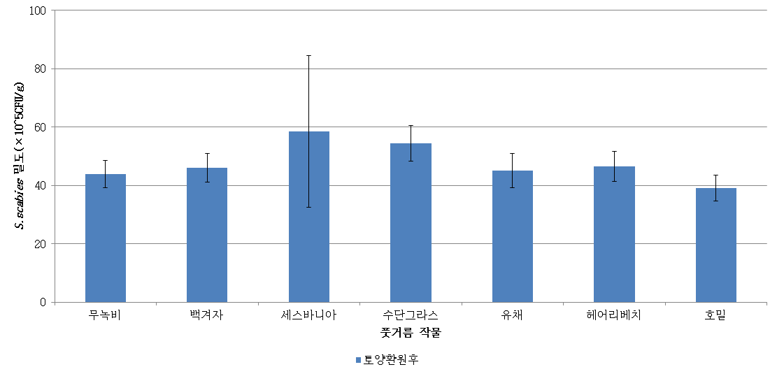 풋거름 작물 재배에 따른 토양 환원 후 S.scabies 평균 밀도(2015∼2017) ♩1년 시험성적 평균임(2015), ♪ 2년 시험성적 평균임(2016~2017)