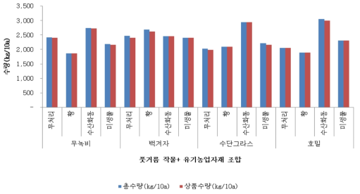 풋거름작물과 유기농업자재 조합에 따른 감자 총수량 및 상품수량(2017)