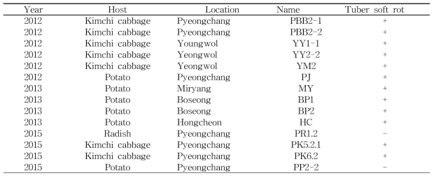 2012-2015 수집 무름병균주 목록