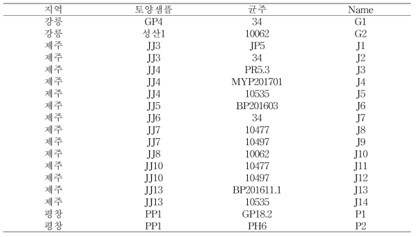 무름병균주를 용균하는 박테리오 파지 분리 목록