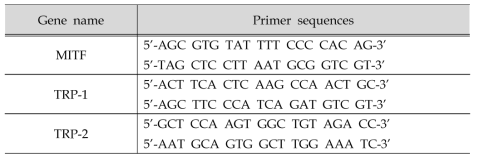 미백 bio-marker의 primer sequence 정보