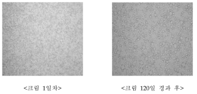 칡 발효물 0.005%를 함유한 크림제형의 입자 사진