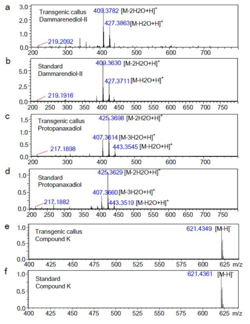 APCI-MS1 ionization spectra of DD, PPD and CK peaks in transgenic tobacco calli co-overexpressing PgDDS , CYP716A47 and UGT71A28. a-b Positive ionization of APCI MS1 spectrum of the DD peak in sample (a) and DD standard (b). c-d Positive ionization of the APCI MS1 spectrum of a PPD peak in sample (c) and PPD standard (d). e-f Negative ionization of the APCI MS 1spectrum of a CK peak in sample (e) and CK standard (f)