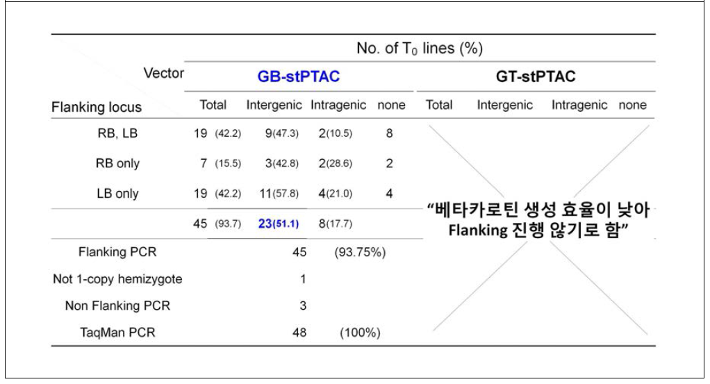 1 copy-intergenic 베타카로틴 생성 stPTAC 벼 형질전환체의 FS결과 요약