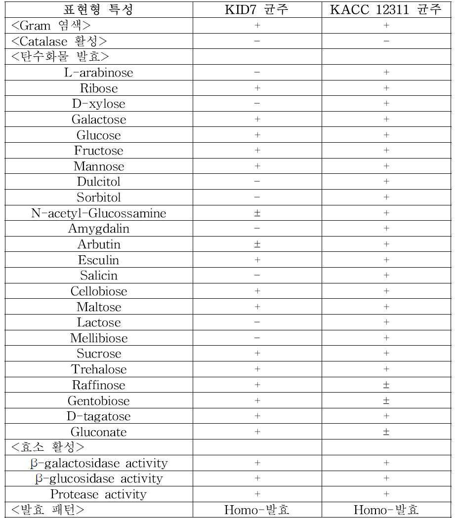 KID7 균주와 KACC 12311 균주의 표현형 특성