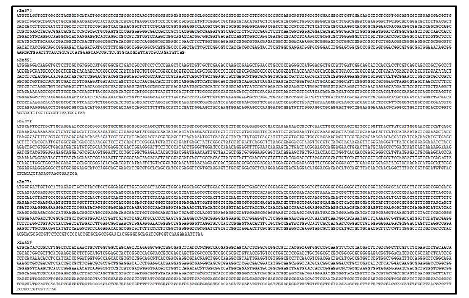 20E 생합성 후보유전자 5종(Zm073, Zm591, Zm472, Zm774, Zm650)의 ORF 염기서열