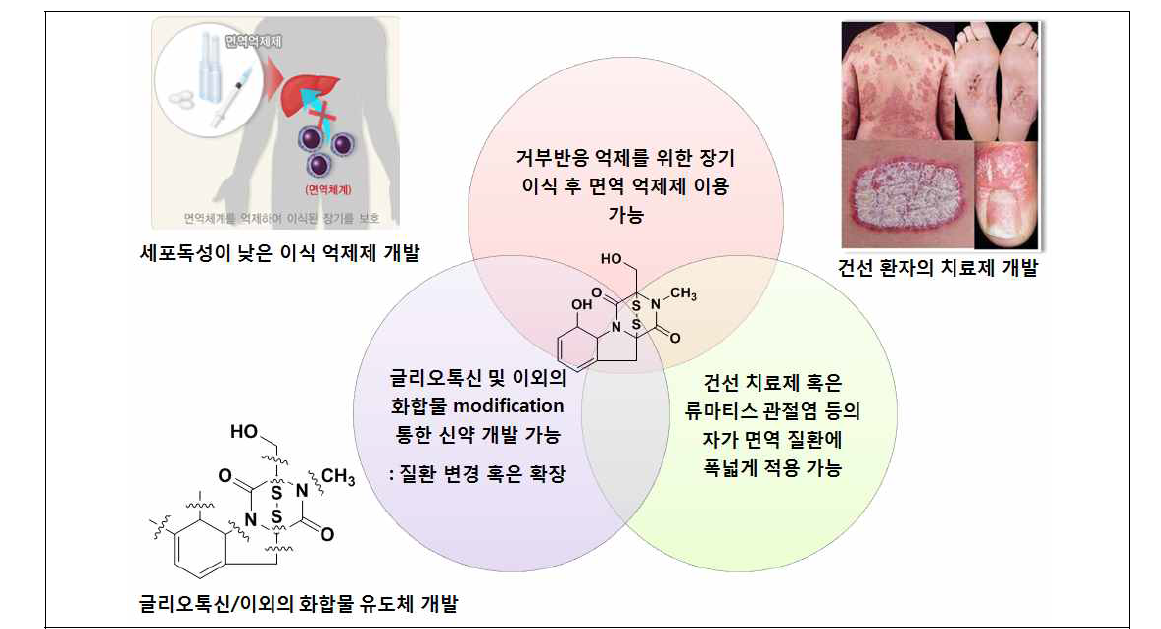 선도물질을 이용한 최종 활용 방안