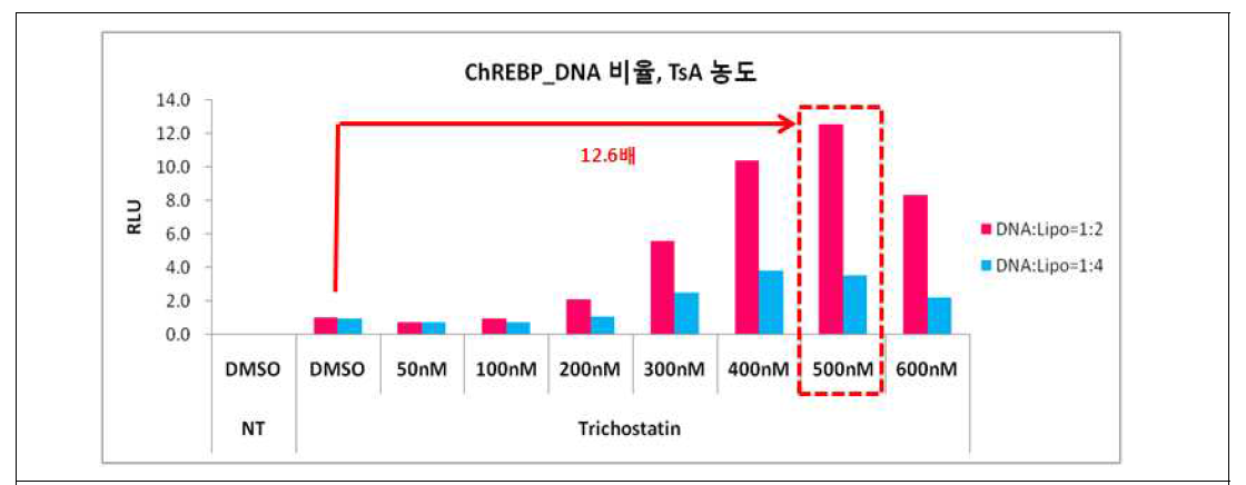 ChREBP promoter system의 최적화