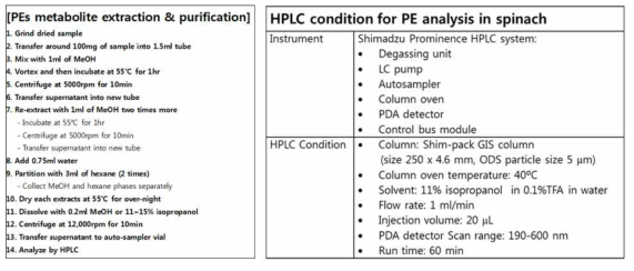 PE 대사계 화합물 추출 및 HPLC-UVD 분석 조건