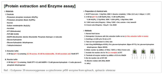 형질전환식물체의 20E 생합성능 확인을 위한 단백질 추출 및 반응 조건