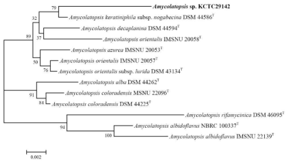 후보균주인 KCTC29142 균주의 계통분류학적 유사성 분석