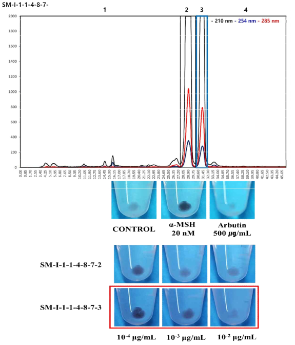 방선균 Streptomyces sp. MBB1001균주 분획물(SM-I-1-1-4-8-7)에서 prep-HPLC(High Performance liquid chromatography) 분석 및 fraction의 미백활성 결과