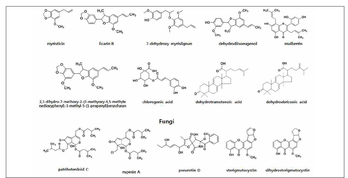 ChREBP inhibitor로 분리된 생리활성물질