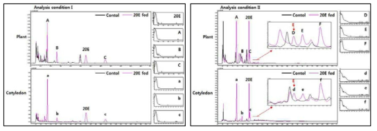 옥수수에 1.0% 20E 용액을 처리한 후 20일이 경과하였을 때 수확한 시료에 서 20E의 대사산물 생성을 확인한 크로마토그램. 좌: HPLC 분석조건(I)으로 분석한 크 로마토그램, 우: HPLC 분석조건(II)로 분석한 크로마토그램. A~F: 옥수수 식물체에서 검 출된 20E 대사산물, a~f: 옥수수 cotyledon에서 검출된 20E 대사산물(식물체에서 검출된 것과 동일)