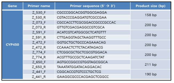 20E 생합성 후보유전자 발현변화 검증을 위한 semi-qRT-PCR 프라이머