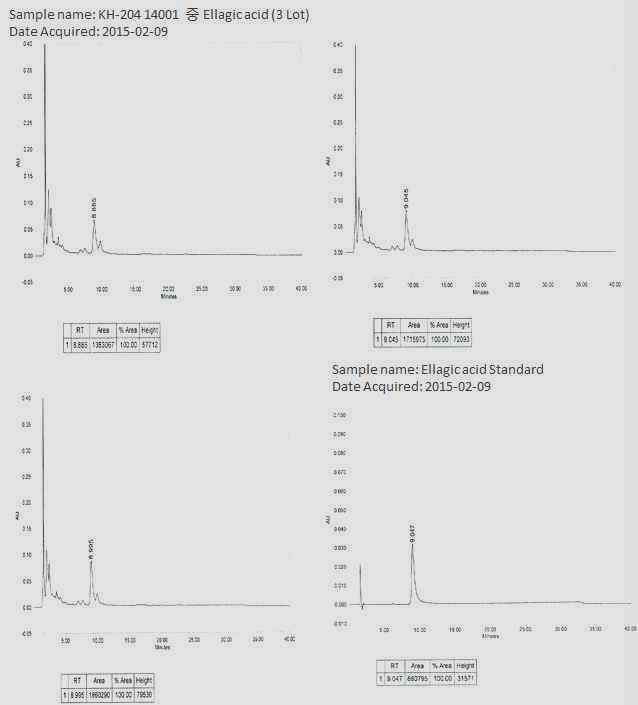 Ellagic acid 분석 및 표준품 분석