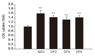네오한천올리고당/DP2, DP4, DP6에 의한 LDL-cholesterol uptake