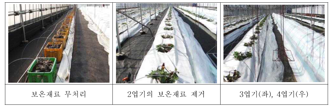 보온재료 제거 시기별 모습(3월 14일 촬영)