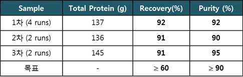 배치 별 Protein A 정제 공정 수율 및 순도 결과 비교