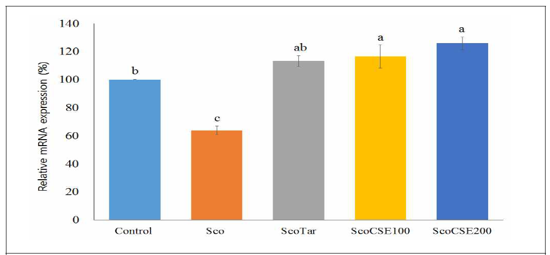 옥수수수염 추출물이 뇌의 NAD(P)H:quinone oxidoreductase 1 (NQO1)의 mRNA 발현에 미치는 영향 Control: Control, Sco: Scopolamin (1 mg/kg), ScoTar: Scopolamin (1 mg/kg) + Tarcrine (10 mg/kg), ScoCSE100: Scopolamin (1 mg/kg) + CSE100 (100 mg/kg), ScoCSE200: Scopolamin (1 mg/kg) + CSE200 (200 mg/kg). The significant was determined by duncan’s multiple range test (p<0.05)