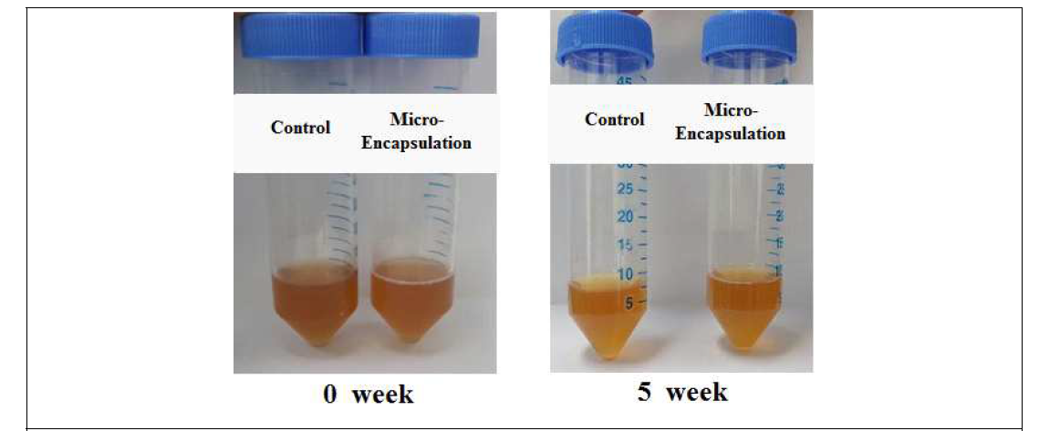 Appearances of corn silk and maltodextrin – cyclodextrin micro-encapsulated corn silk extracts during 5 weeks storage at 25℃