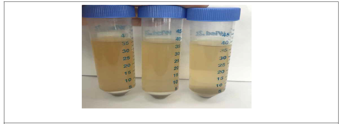 Sweet rice drink with micro-encapsulated corn silk. (control, CSC1, CSC2)