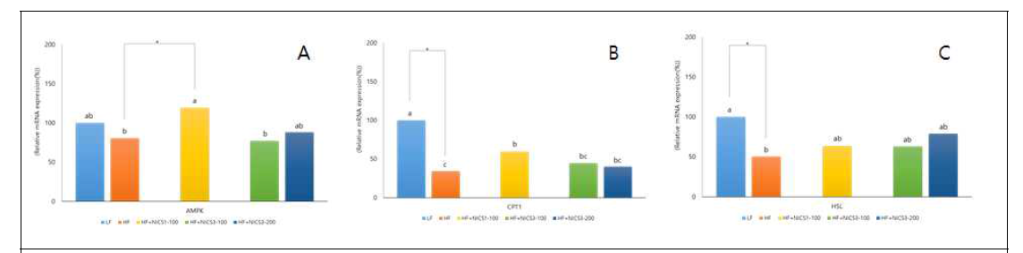 지방조직내 지방분해와 관련된 유전자발현 1) LF, low fat diet; HF, high fat diet; HF+NICS1-100, HF+NICS1 100mg/kg; HF+NICS3-100, HF+NICS3 100mg/kg, HF+NICS3-200, HF+NICS1 200mg/kg. * : The significant was determined by T-test between HF and each experimental group (p<0.05)