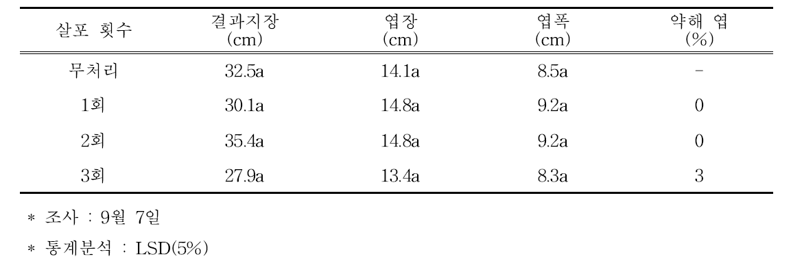 티오황산암모늄 살포 횟수별 신초 생장