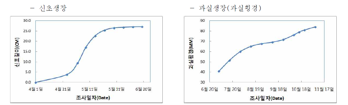 시기별 신초장과 과실횡경 크기 변화