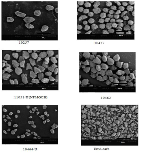 Scanning Electron microscope images of various kinds of GCB