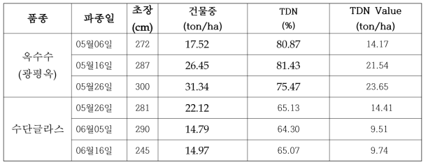 하계 옥수수 및 수단글라스의 품종별 수량 (2015~2016)