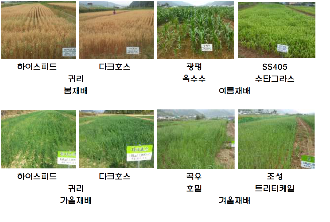 영남남부(울산) 지역 경사지 논 재배 조사료 작부시험 체계