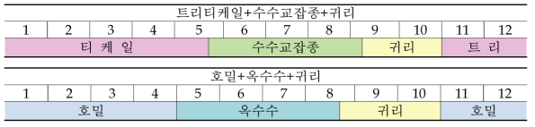 영남남부지역 연중 조사료 작부체계