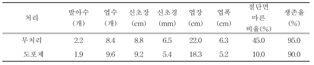 절단면 도포제 처리 유무별 신초 생육 및 생존율(2017)