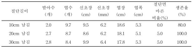 절단길이별 신초생육 및 생존율(2017)