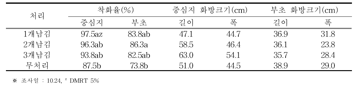 처리 후 화방크기 및 착화량(2016)