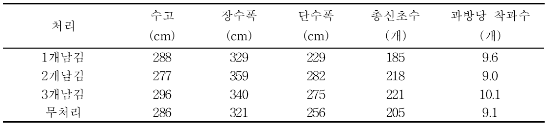 처리별 수체 생육(2017)