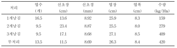 처리별 신초 및 엽 생육(2017)