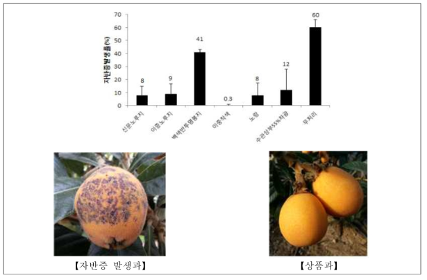 봉지종류별 자반증 발생율과 자반증 발생과