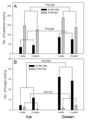 Number of bacterial colony (A) on the skin and in the gut and fungal colony (B) on the skin and in the liver of the Rana dybowskii that were collected from inside and outside frog farms in Inje and Goesan. Number of bacterial and fungal colony in Goesan was greater than that in Inje, but there was no difference between inside and outside frog farms at both Inje and Goesan