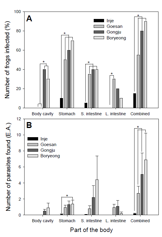 Comparison of acanthocephalan infection rates (A) and the number of acanthocephalans found (B) in body cavity, stomach, small and large intestine of the Dybowskii’s brown frogs among Inje, Goesan, Gongju, and Boryeong frog farms. *, P <0.05 in post-hoc test