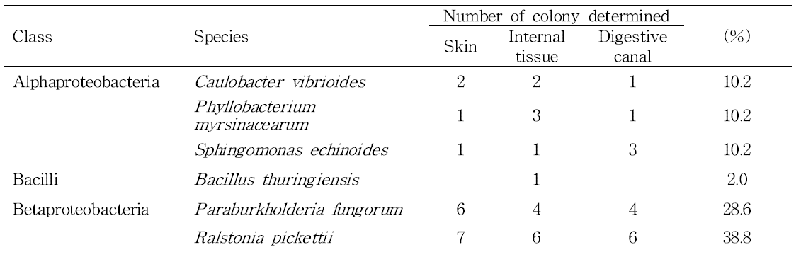 List of bacterial species identified from the skin, internal tissue, and digestive canal samples of two live and four dead Huanren frog (Rana huanrenensis) tadpoles collected from the mass-mortality site on June 18, 2015. We successfully analyzed 49 bacterial sequences and determined species (mean bp: 1193 bp, range: 768-1389 bp) out of total 54 colonies (each three colonies × three different organs × six tadpoles)