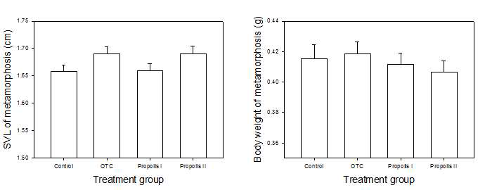 Comparison of the snout-vent length and body weight of metamorphosed R. dybowskii’s juveniles which reared at different treatments of control, OCT, propolis I and II exposure